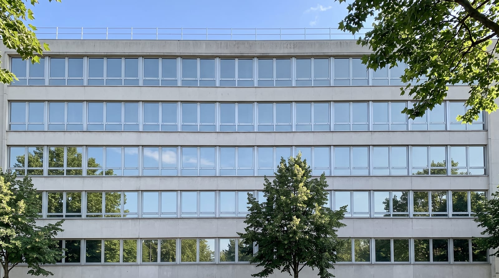 Façade d'immeuble de bureaux aux vitrages homogènes après la pose d'un même film sur tous les étages
